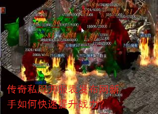 传奇私服开服表发布网新手如何快速提升战力? 传奇私服开服表发布网新手如何快速提升战力?
