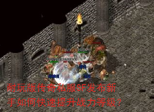 耐玩版传奇私服SF发布新手如何快速提升战力等级? 耐玩版传奇私服SF发布新手如何快速提升战力等级?