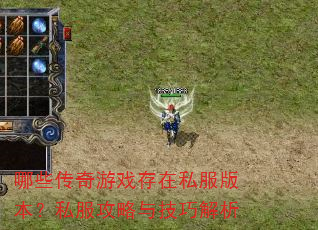 哪些传奇游戏存在私服版本?私服攻略与技巧解析 哪些传奇游戏存在私服版本?私服攻略与技巧解析