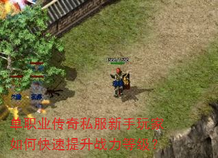 单职业传奇私服新手玩家如何快速提升战力等级? 单职业传奇私服新手玩家如何快速提升战力等级?