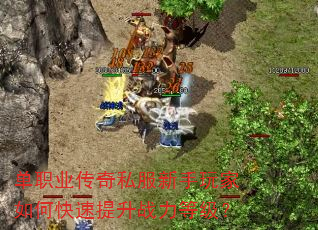 单职业传奇私服新手玩家如何快速提升战力等级? 单职业传奇私服新手玩家如何快速提升战力等级?
