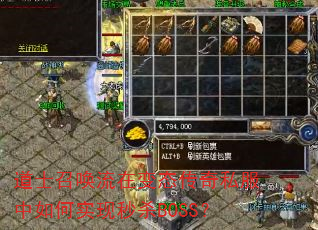 ��ʿ�ٻ����ڱ�̬����˽�������ʵ����ɱBOSS��