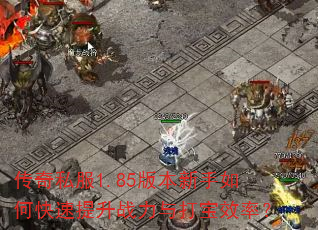 传奇私服1.85版本新手如何快速提升战力与打宝效率? 传奇私服1.85版本新手如何快速提升战力与打宝效率?