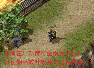 如何在1.76传奇金币月卡服开服初期高效升级并快速积累金币? 如何在1.76传奇金币月卡服开服初期高效升级并快速积累金币?