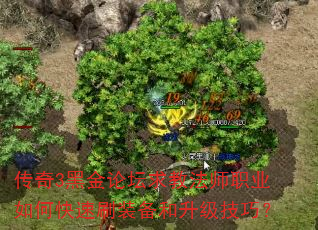 传奇3黑金论坛求教法师职业如何快速刷装备和升级技巧? 传奇3黑金论坛求教法师职业如何快速刷装备和升级技巧?