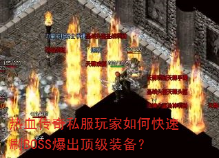 ��Ѫ����˽�������ο���ˢBOSS��������װ����