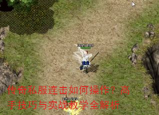 ����˽��������β��������ּ�����ʵս��ѧȫ����