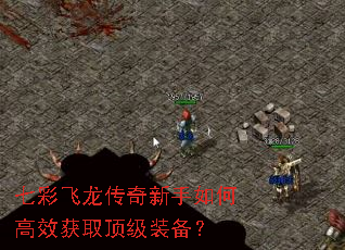七彩飞龙传奇新手如何高效获取顶级装备? 七彩飞龙传奇新手如何高效获取顶级装备?