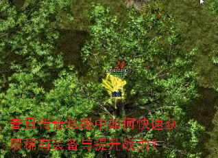 昔日传奇私服中如何快速获取稀有装备与提升战力? 昔日传奇私服中如何快速获取稀有装备与提升战力?
