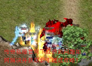 传奇私服官网下载遇到问题如何解决并获取新手速成攻略? 传奇私服官网下载遇到问题如何解决并获取新手速成攻略?
