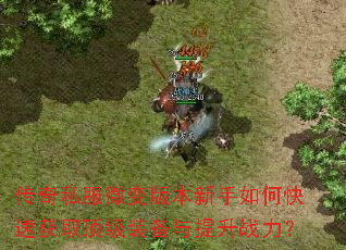传奇私服微变版本新手如何快速获取顶级装备与提升战力? 传奇私服微变版本新手如何快速获取顶级装备与提升战力?