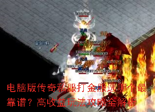 电脑版传奇私服打金服选哪个最靠谱?高收益玩法攻略全解析 电脑版传奇私服打金服选哪个最靠谱?高收益玩法攻略全解析