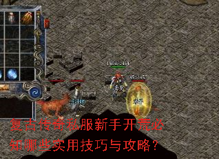 复古传奇私服新手开荒必知哪些实用技巧与攻略? 复古传奇私服新手开荒必知哪些实用技巧与攻略?