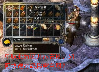 单职业新区开服在即,如何快速冲级称霸全服? 单职业新区开服在即,如何快速冲级称霸全服?