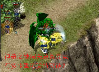 神墓之地闯关总数究竟有多少重考验待突破? 神墓之地闯关总数究竟有多少重考验待突破?