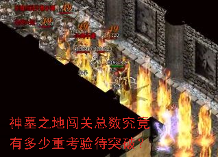 神墓之地闯关总数究竟有多少重考验待突破? 神墓之地闯关总数究竟有多少重考验待突破?