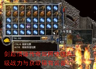 剑踪情缘传奇如何快速升级战力与获取稀有装备? 剑踪情缘传奇如何快速升级战力与获取稀有装备?