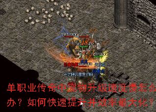 单职业传奇中宠物升级速度慢怎么办?如何快速提升并效率最大化? 单职业传奇中宠物升级速度慢怎么办?如何快速提升并效率最大化?