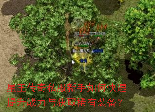 星王传奇私服新手如何快速提升战力与获取稀有装备? 星王传奇私服新手如何快速提升战力与获取稀有装备?