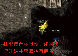�ž鴫��˽��������ο�����������ȡϡ��װ����