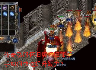 ����˽�����ɰ滳�ɷ�������ο�������ս����