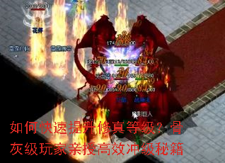 如何快速提升修真等级?骨灰级玩家亲授高效冲级秘籍 如何快速提升修真等级?骨灰级玩家亲授高效冲级秘籍