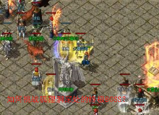 �����ս���궴����ռ�BOSS��