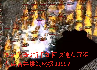 ��̬����3������ο��ٻ�ȡϡ��װ������ս�ռ�BOSS��