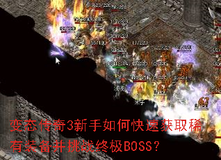 ��̬����3������ο��ٻ�ȡϡ��װ������ս�ռ�BOSS��