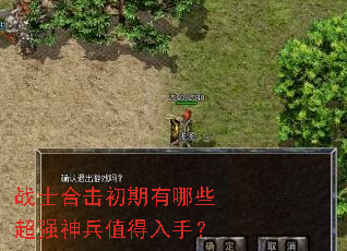 战士合击初期有哪些超强神兵值得入手? 战士合击初期有哪些超强神兵值得入手?