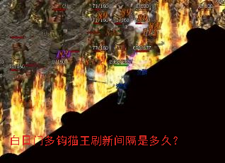 白日门多钩猫王刷新间隔是多久? 白日门多钩猫王刷新间隔是多久?