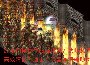 սʿ��ο�סBoss�˺�����ʦ������Ч��֣���ʿ�ٻ�����θ����Ŷӣ�