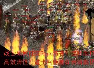 սʿ��ο�סBoss�˺�����ʦ������Ч��֣���ʿ�ٻ�����θ����Ŷӣ�