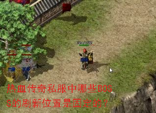 热血传奇私服中哪些BOSS的刷新位置是固定的? 热血传奇私服中哪些BOSS的刷新位置是固定的?