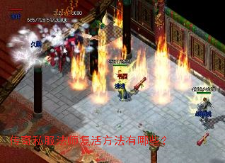 传奇私服法师复活方法有哪些? 传奇私服法师复活方法有哪些?