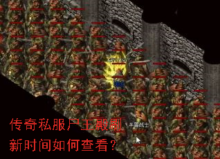 传奇私服尸王殿刷新时间如何查看? 传奇私服尸王殿刷新时间如何查看?