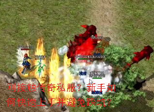 刚接触传奇私服?新手如何快速上手并避免踩坑? 刚接触传奇私服?新手如何快速上手并避免踩坑?