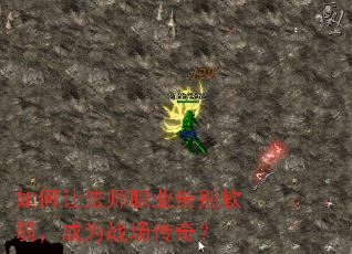 ����÷�ʦְҵ�����������Ϊս�����棿
