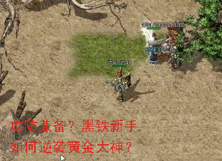 �����汸���������������Ϯ�ƽ����