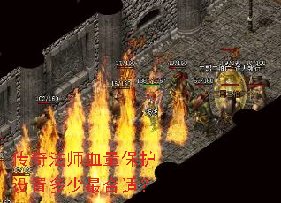 ���淨ʦѪ���������ö�������ʣ�