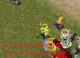 魔法躲避真的能躲过石化?传奇石化怪物实战测试揭秘 魔法躲避真的能躲过石化?传奇石化怪物实战测试揭秘