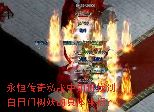 永恒传奇私服中如何找到白日门树妖的具体坐标? 永恒传奇私服中如何找到白日门树妖的具体坐标?