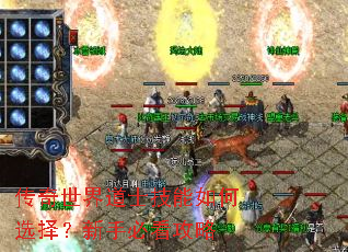 传奇世界道士技能如何选择?新手必看攻略 传奇世界道士技能如何选择?新手必看攻略