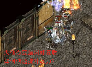 天仙微变漏洞修复后如何快速提升战力? 天仙微变漏洞修复后如何快速提升战力?