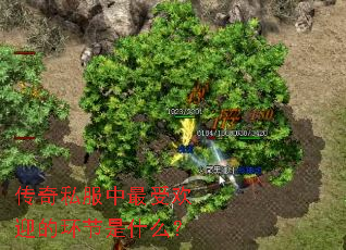 ����˽�������ܻ�ӭ�Ļ�����ʲô��