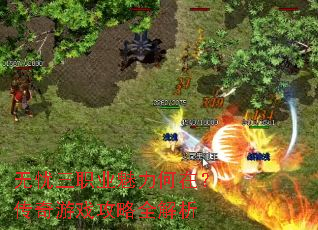 无忧三职业魅力何在?传奇游戏攻略全解析 无忧三职业魅力何在?传奇游戏攻略全解析