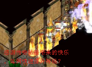 感谢传奇私服带来的快乐,如何快速提升等级? 感谢传奇私服带来的快乐,如何快速提升等级?