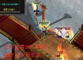 �����鿴3K������Զ���ȫ�ֱ�����