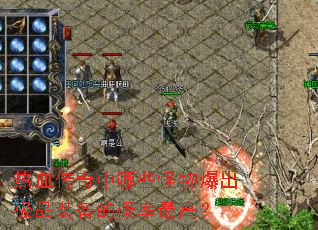 热血传奇中哪些怪物爆出极品装备的概率最高? 热血传奇中哪些怪物爆出极品装备的概率最高?