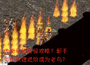传奇私服终极攻略?新手如何快速进阶成为老鸟? 传奇私服终极攻略?新手如何快速进阶成为老鸟?